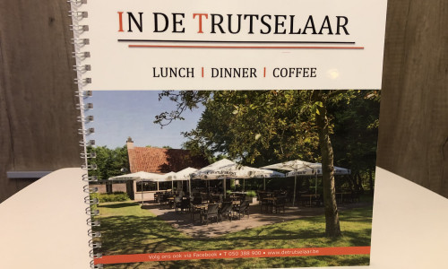 In de Trutselaar