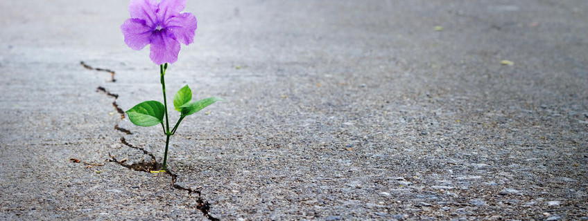 Voorzichtige heropstart vanaf maandag 11 mei