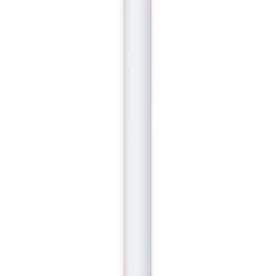 Lightning naar HDMI convertor (Apple)